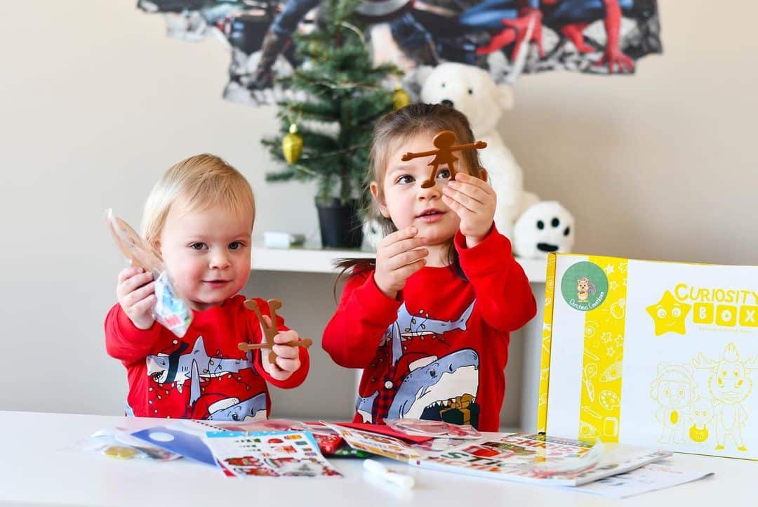 Holiday craft box unboxing excitement